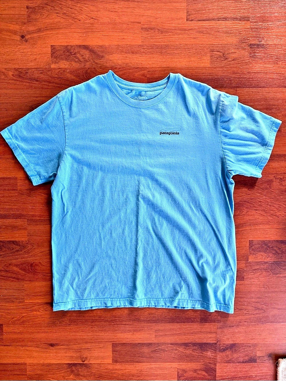 Patagonia Fitz Roy Trout Cotton T-Shirt Mens Large Blue